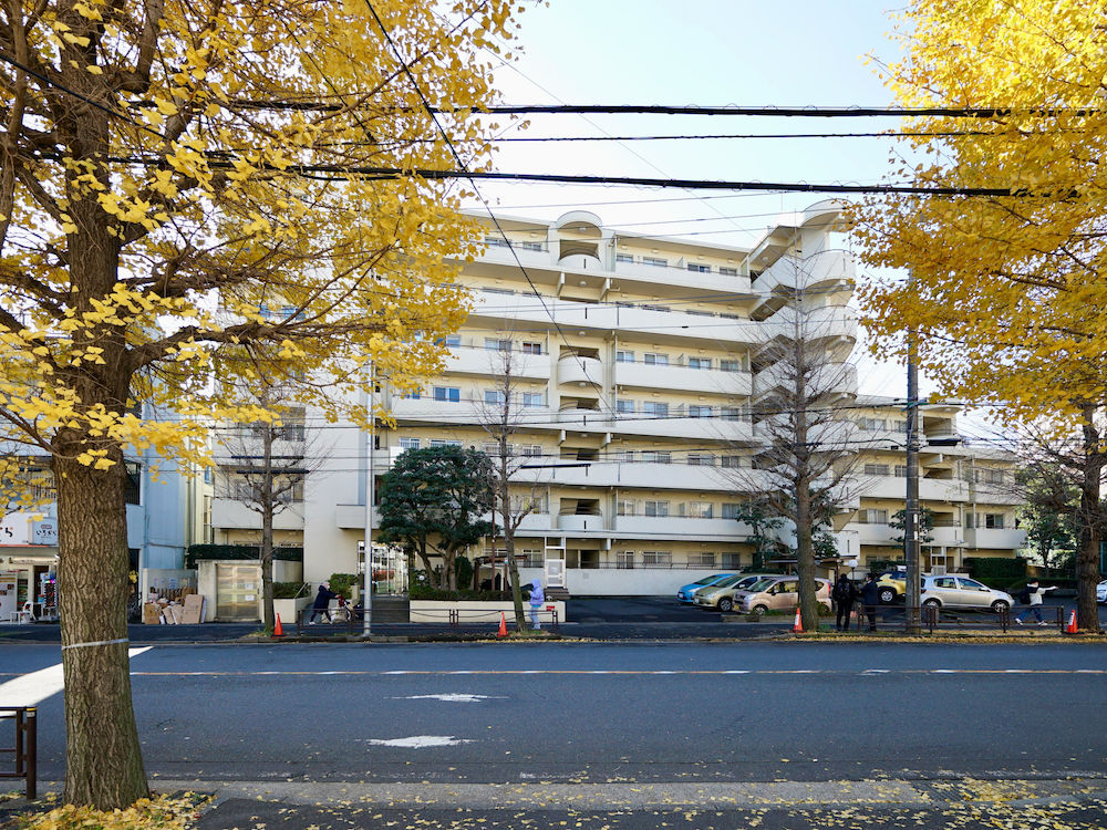 光のどけき、駅3分の暮らし