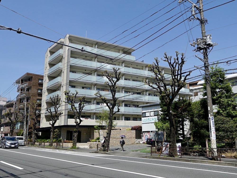 庭を満喫する、駅近築浅の家