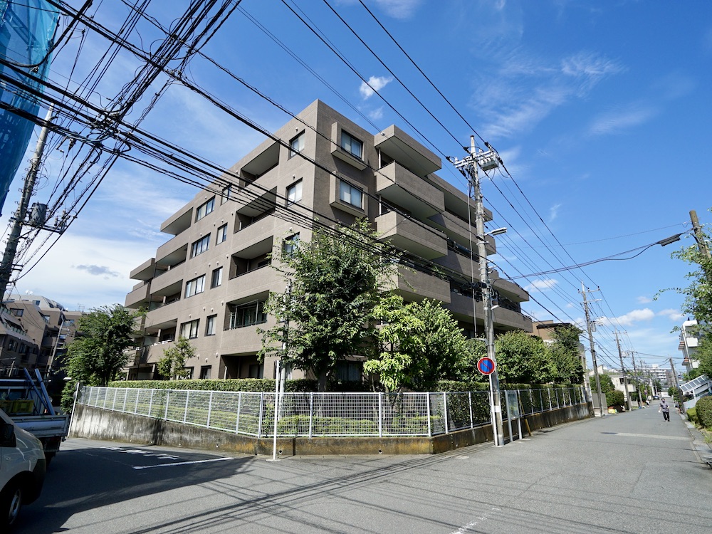 木漏れ日が差す、鷺沼の角部屋