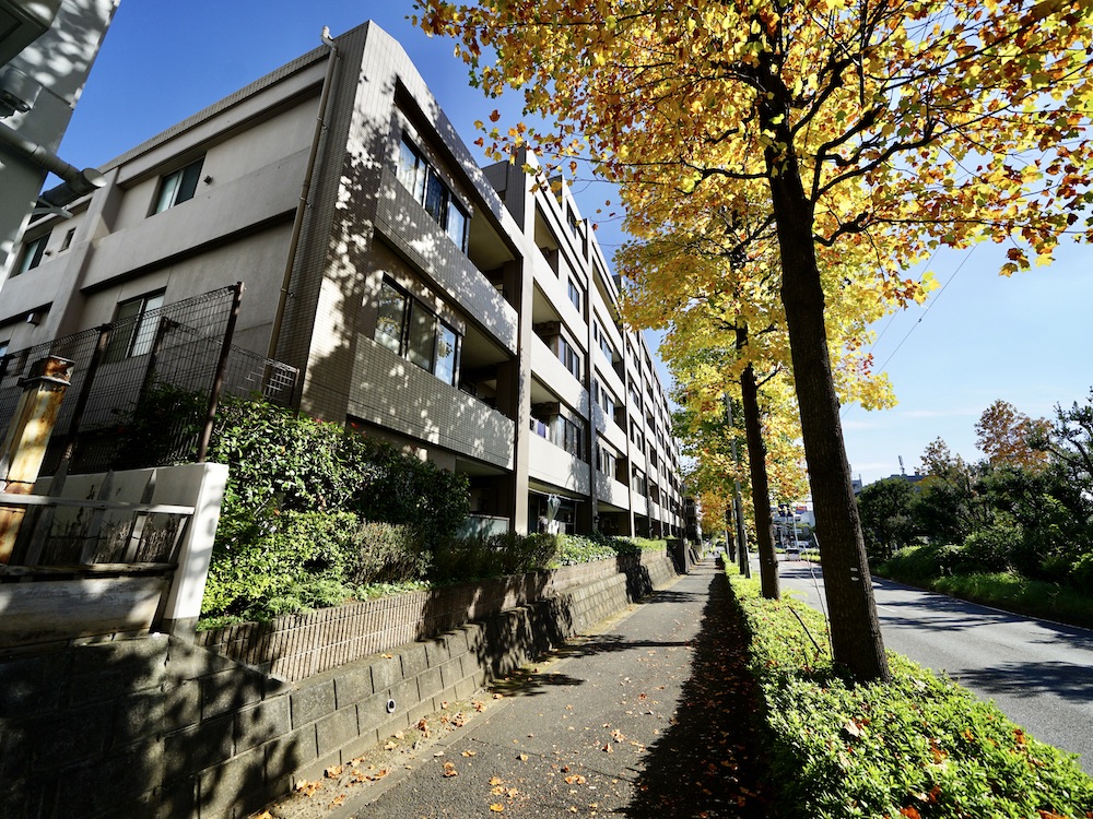 街路樹が毎日の景色になる家