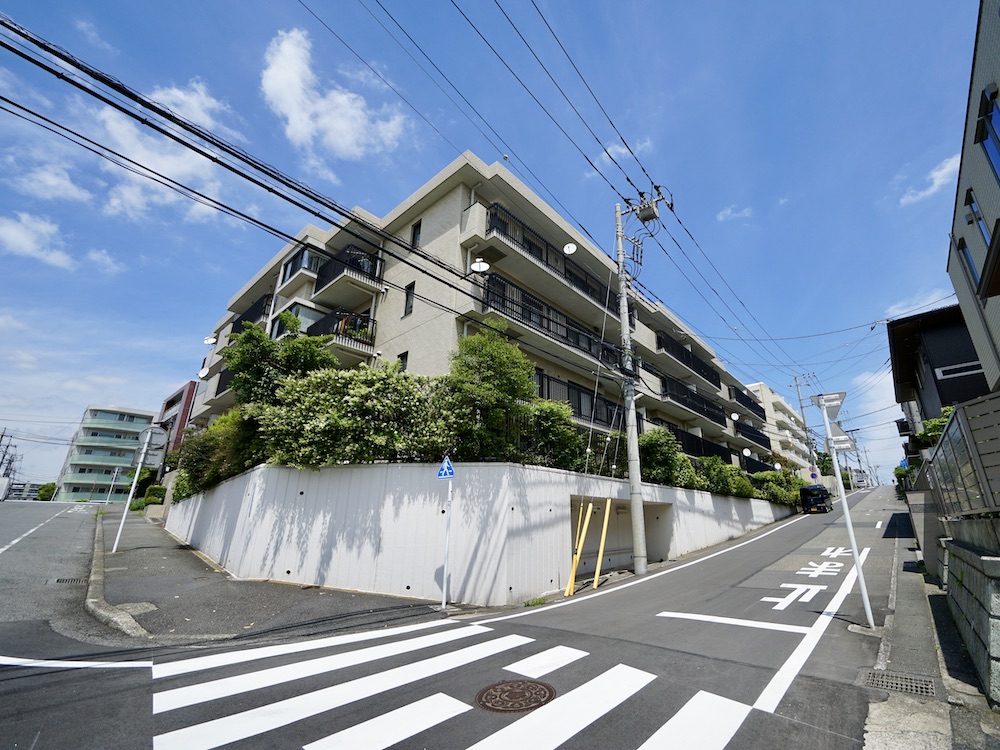 木とモルタルの美しい家