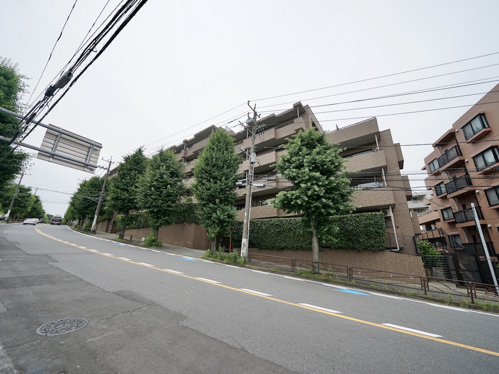 開放的なパークビューのある家